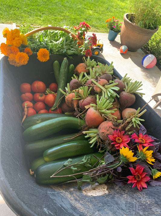 Vegetable Garden Grow Along