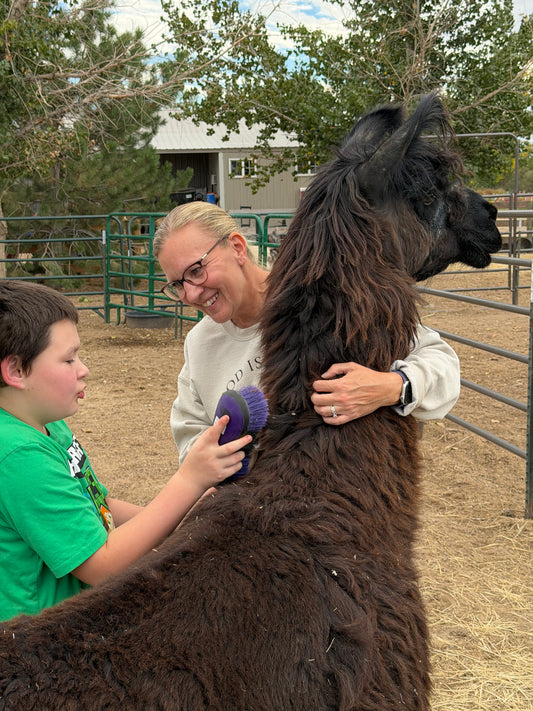 Individualized Farm Experience