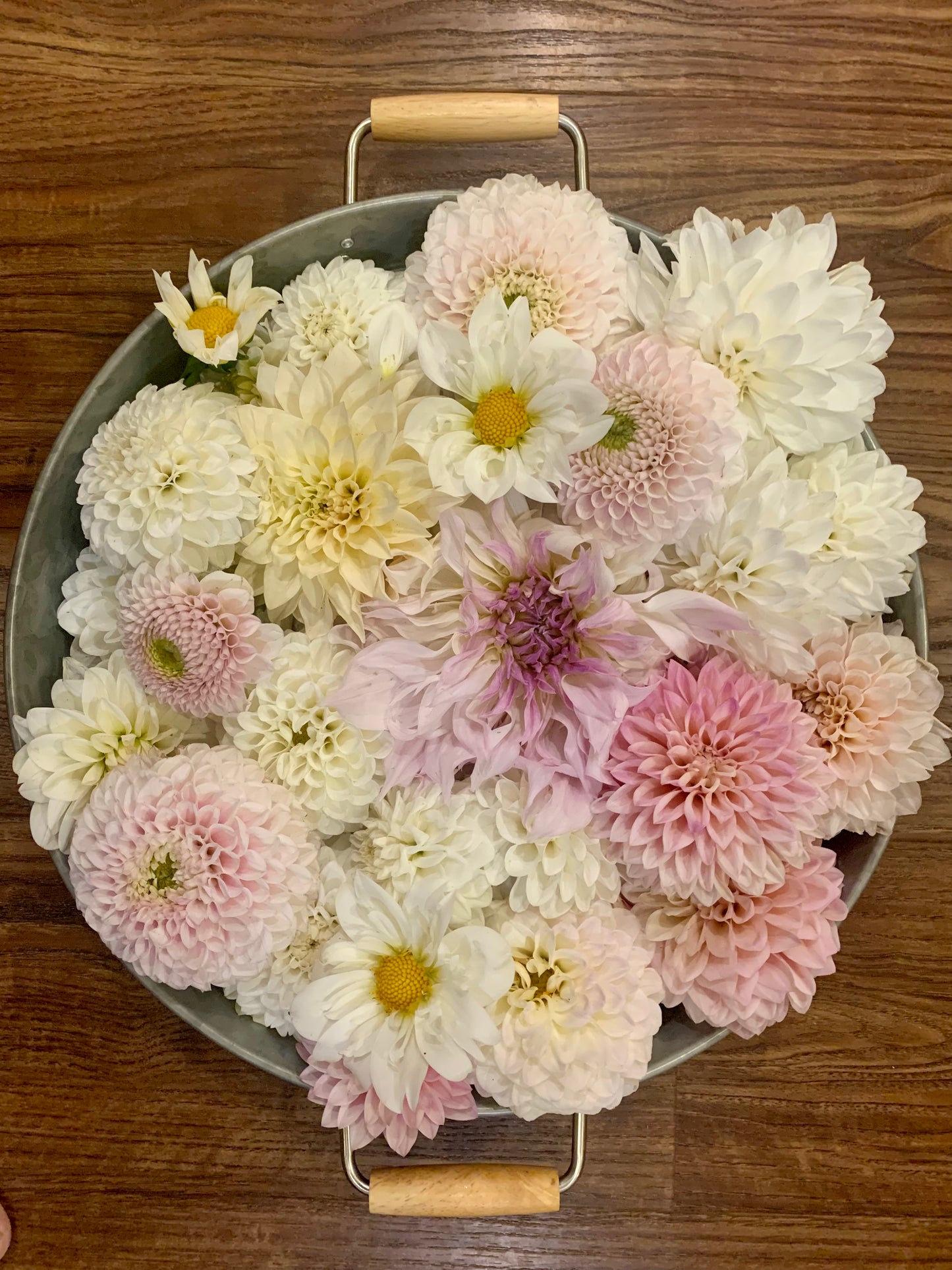 Dahlia Bouquet Subscription
