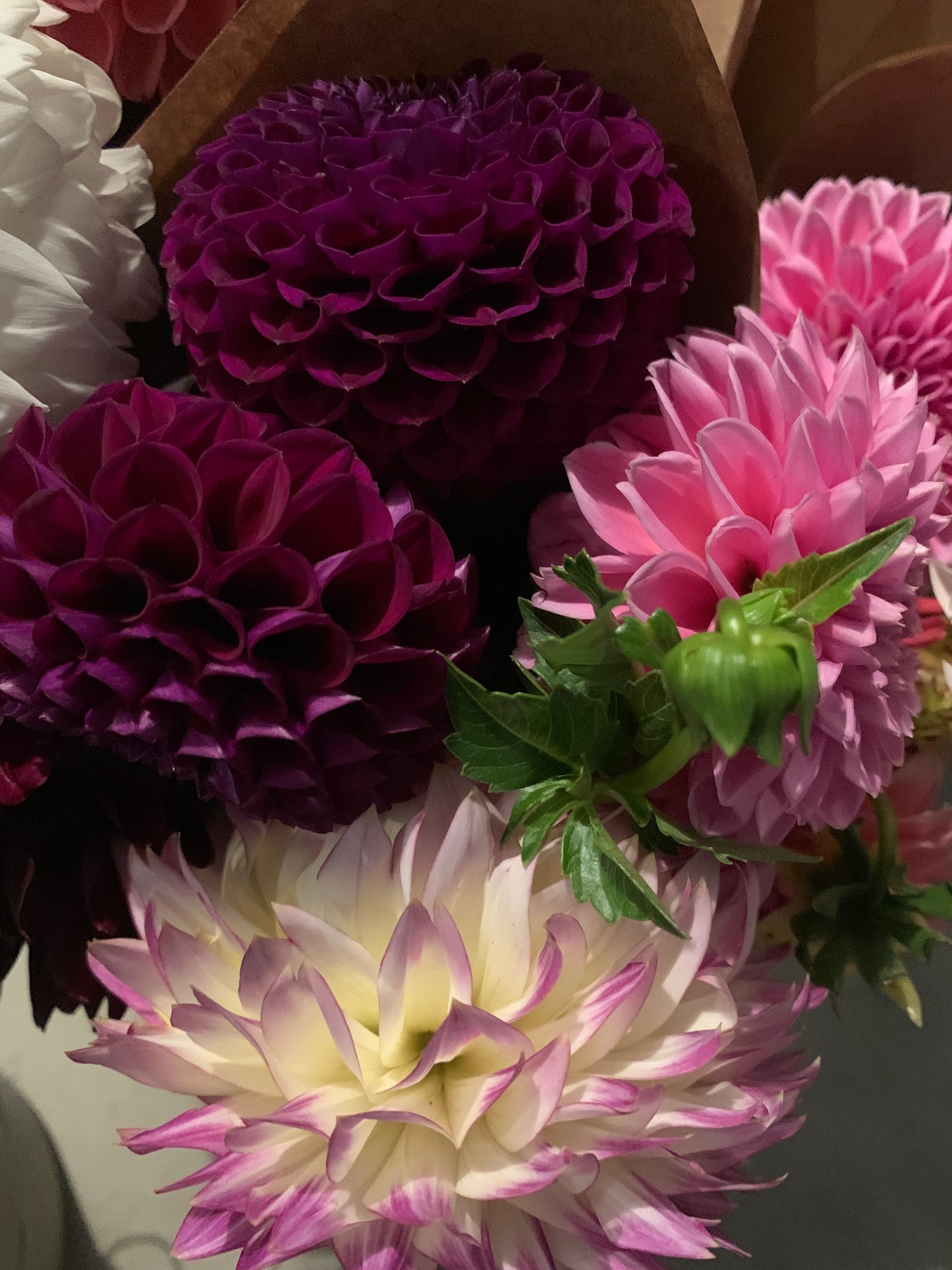 Dahlia Bouquet Subscription