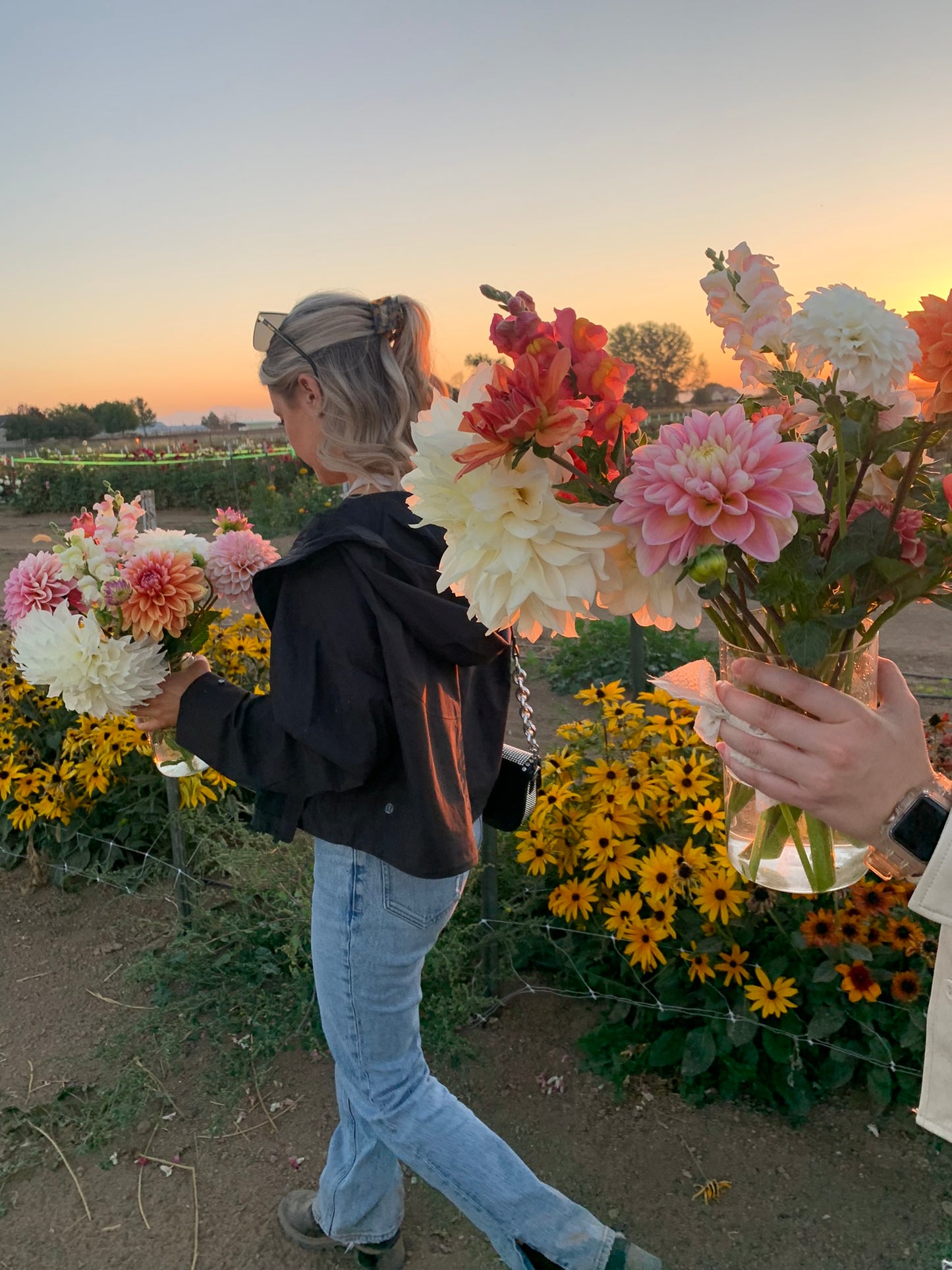 Flower U-Pick at the Farm